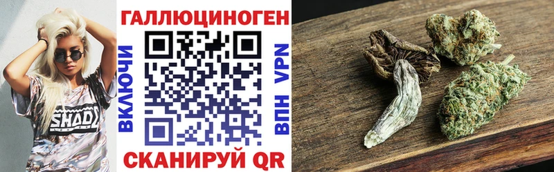 магазин    Северобайкальск  Псилоцибиновые грибы Psilocybine cubensis 